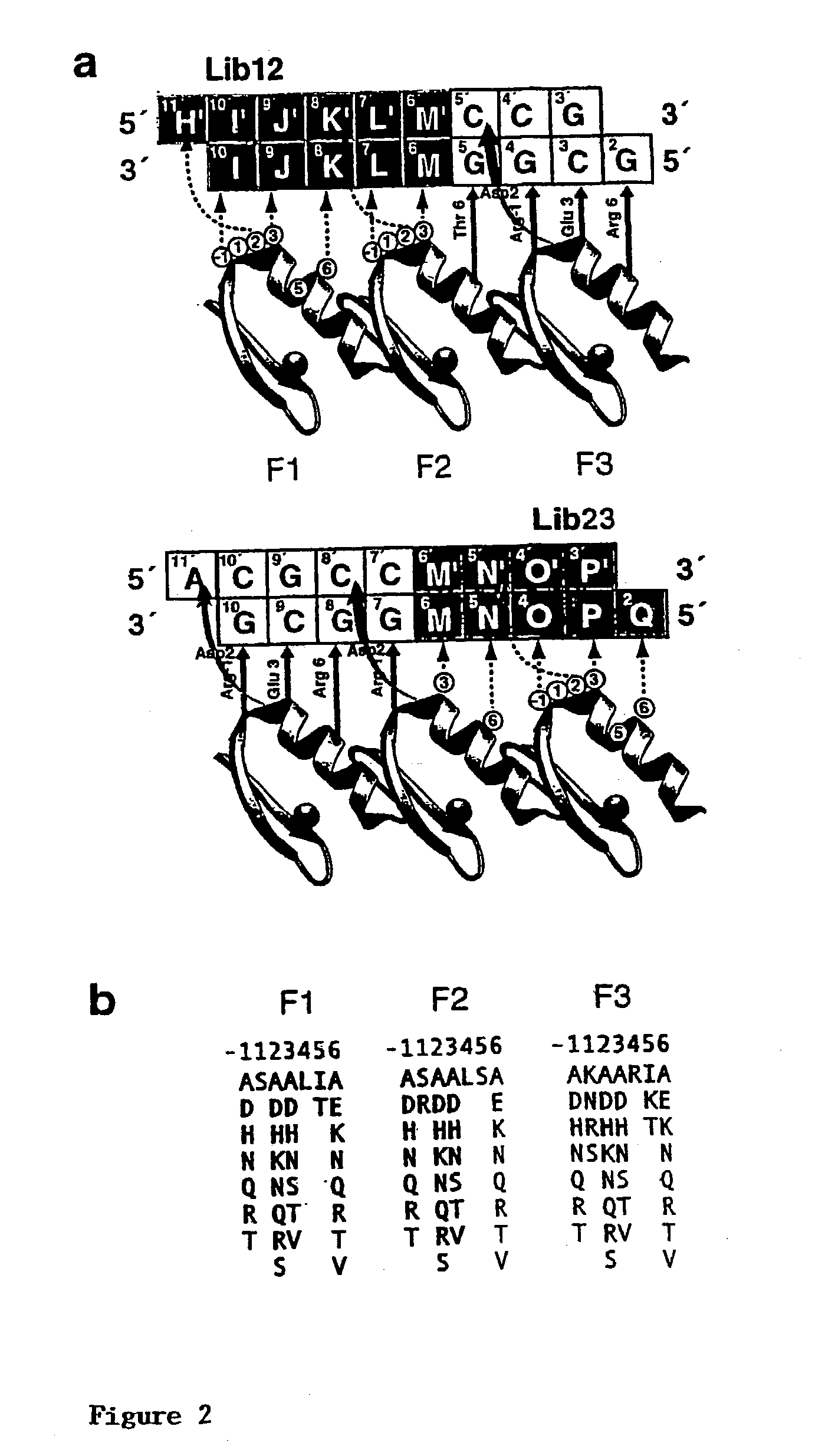 Modulation of viral gene expression by engineered zinc finger proteins