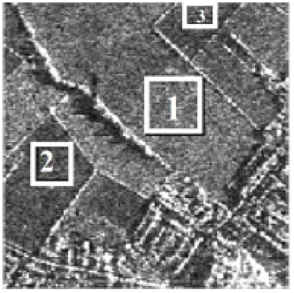 SAR (synthetic aperture radar) image despeckle method based on target extraction and three-dimensional block matching denoising