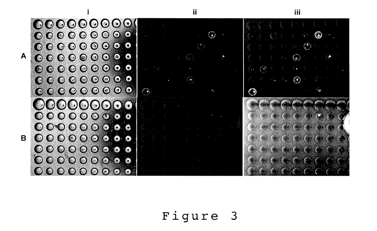 High-throughput single cell sorting using microbubble well arrays