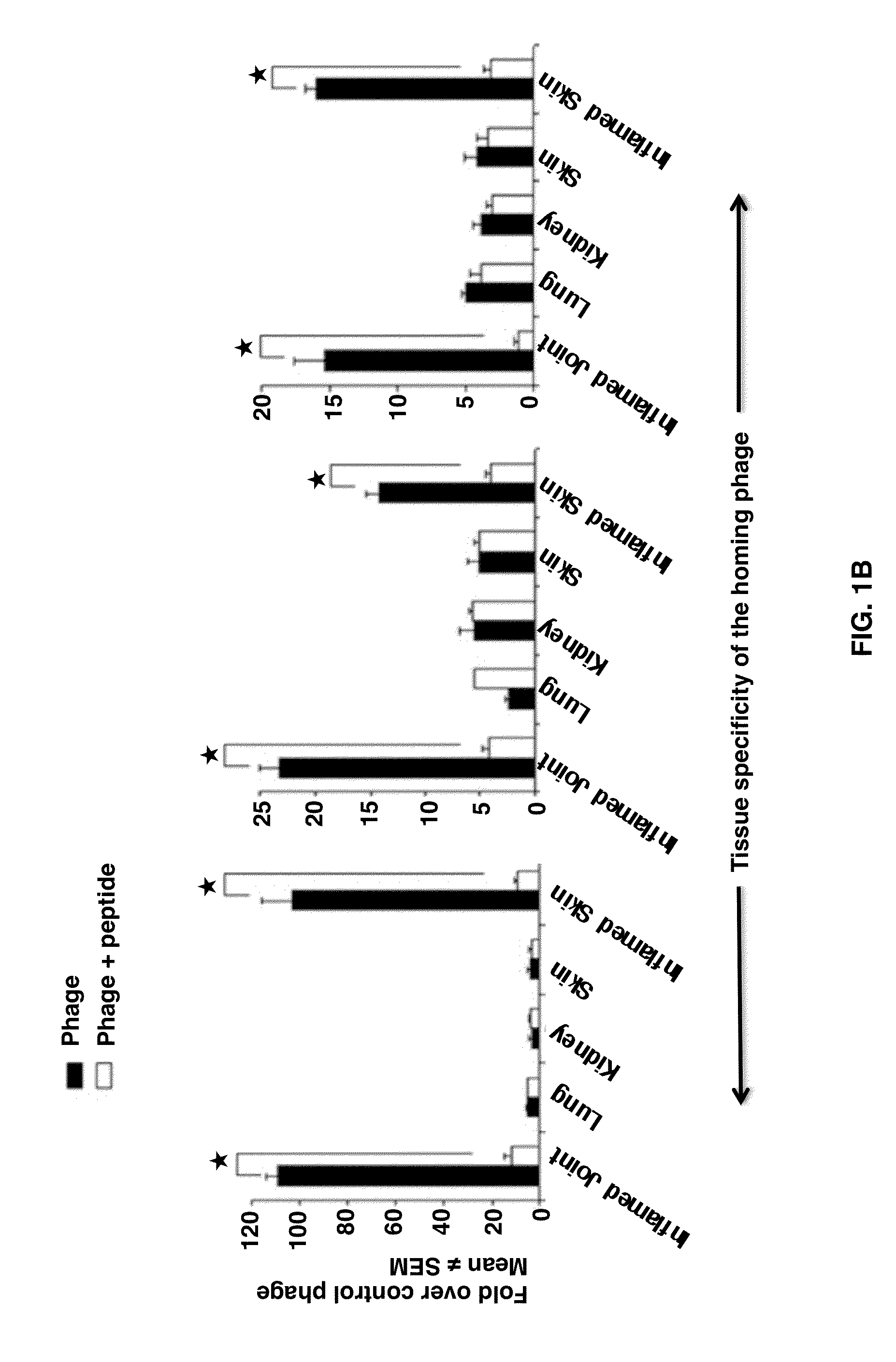Joint-Homing Peptides and Uses Thereof