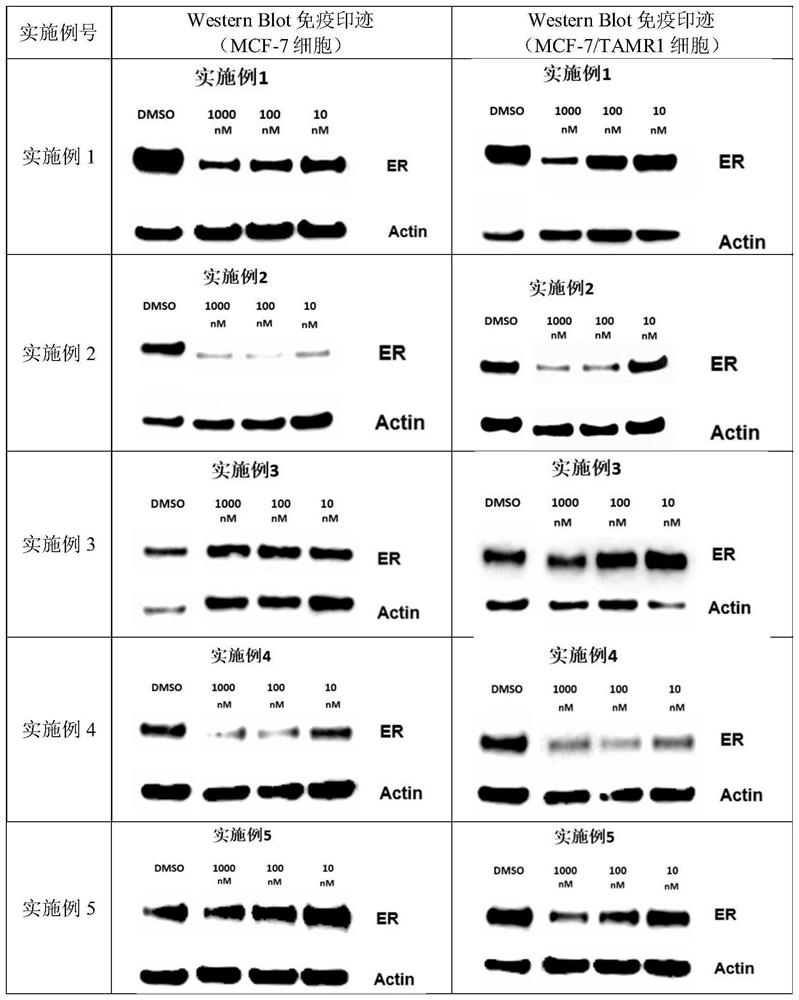 Heterocyclic compound and application thereof in medicine