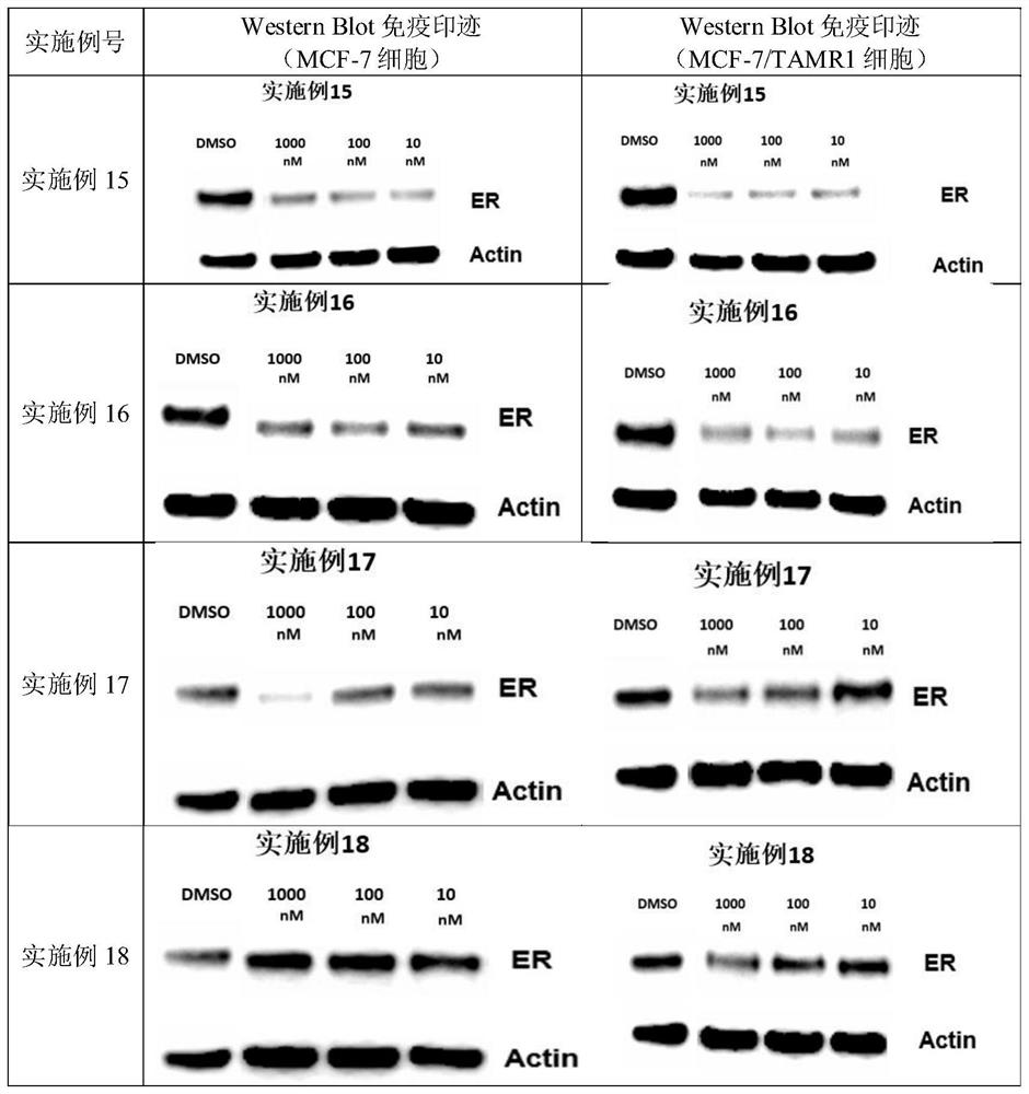 Heterocyclic compound and application thereof in medicine