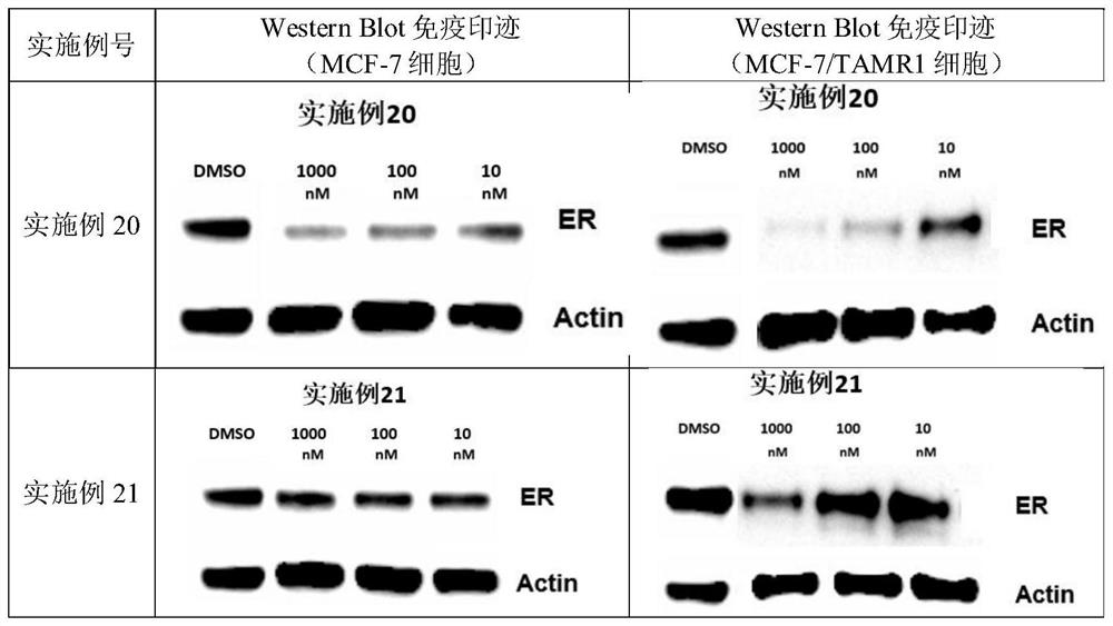 Heterocyclic compound and application thereof in medicine