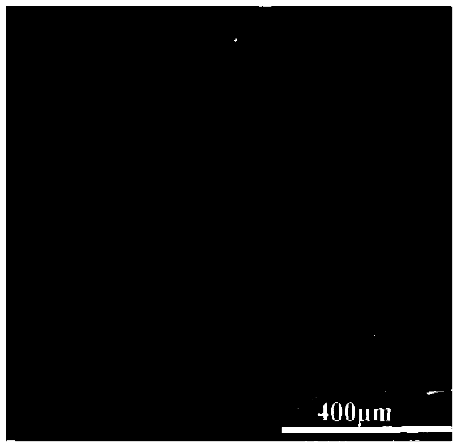 Preparation and application of a pnipam/pva composite temperature-sensitive gel loaded with nano-silver