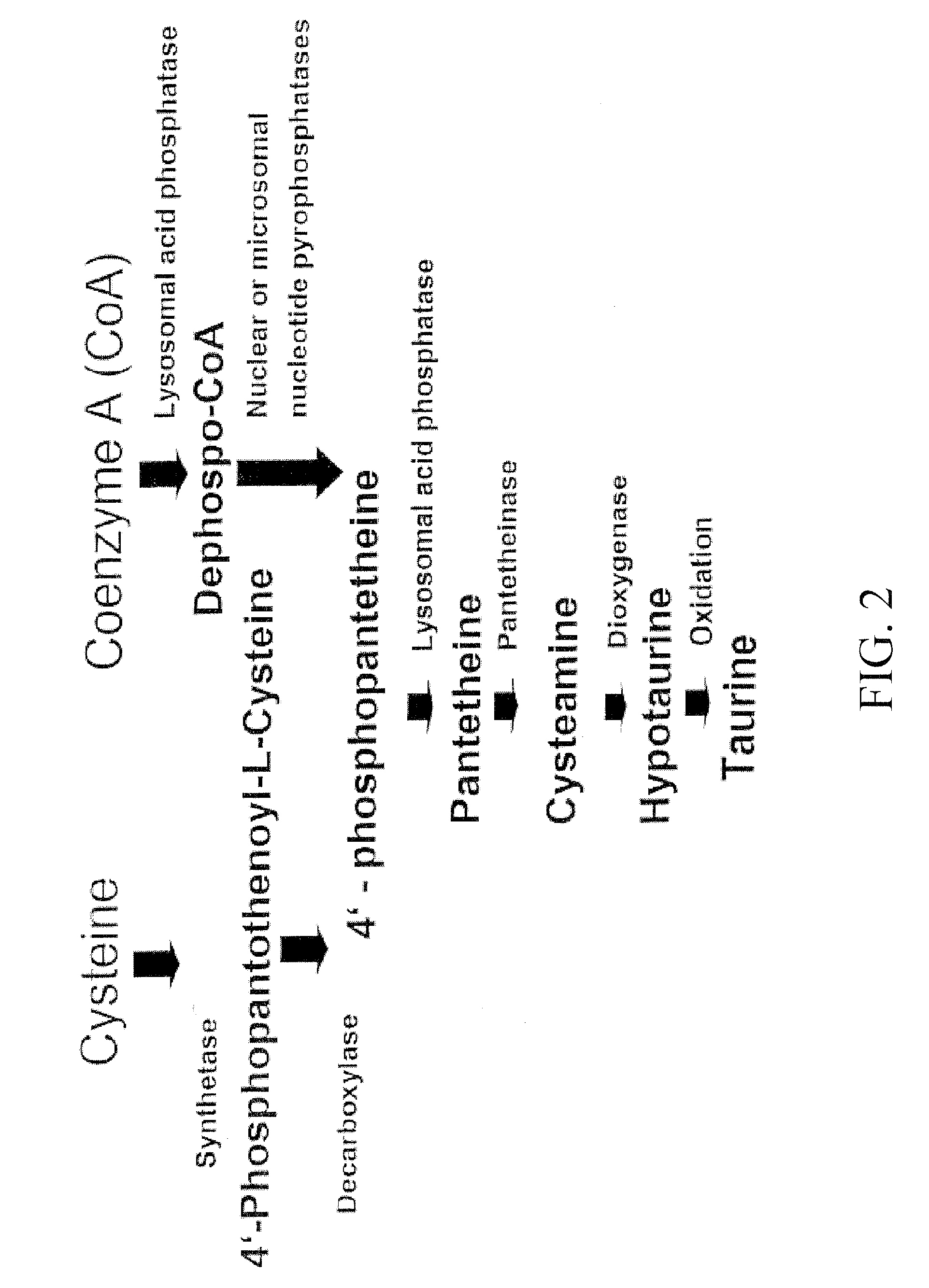 Materials and Methods for Modulating Metabolism