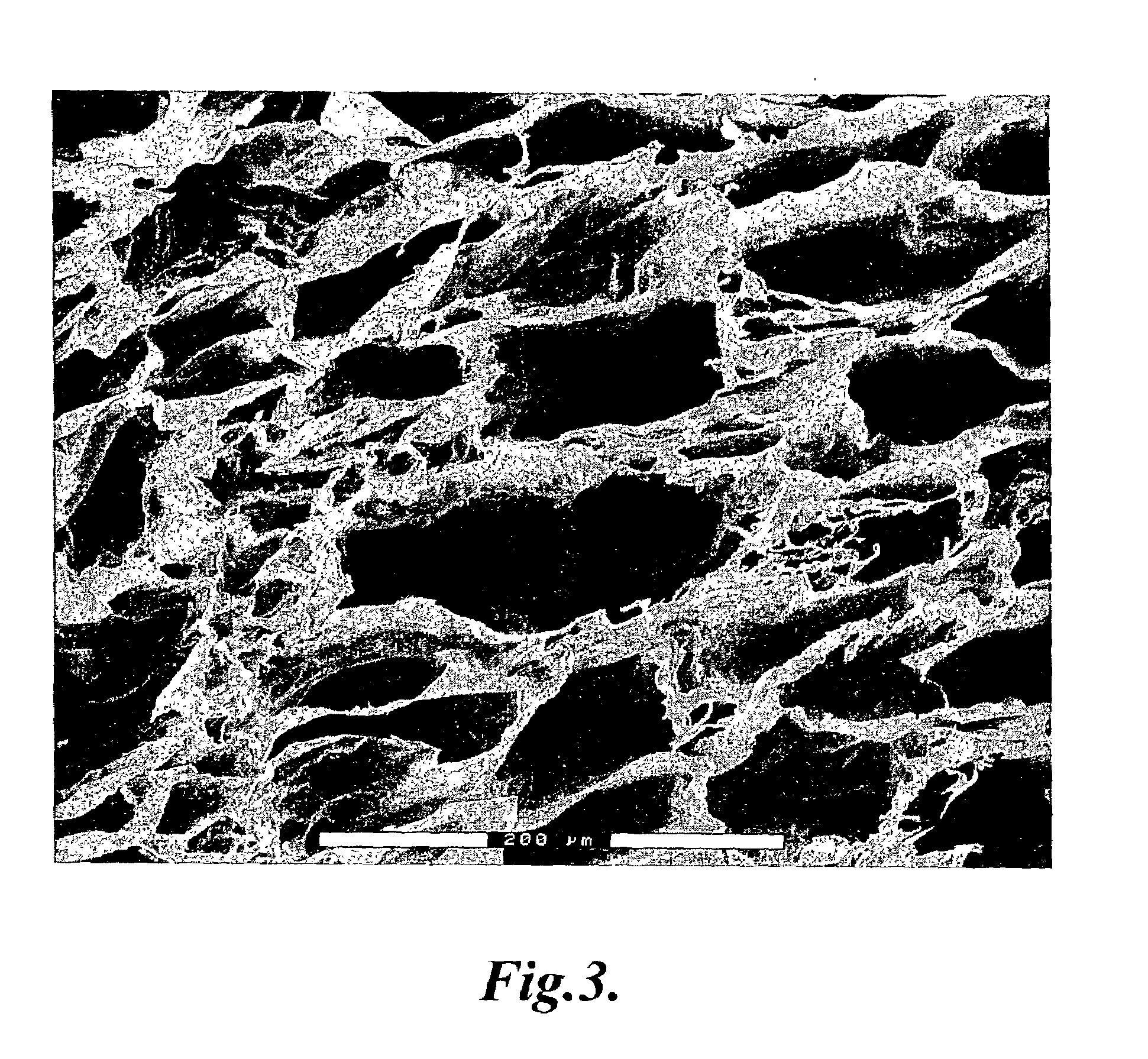 Porous structures useful for growing living tissue, and methods of manufacture