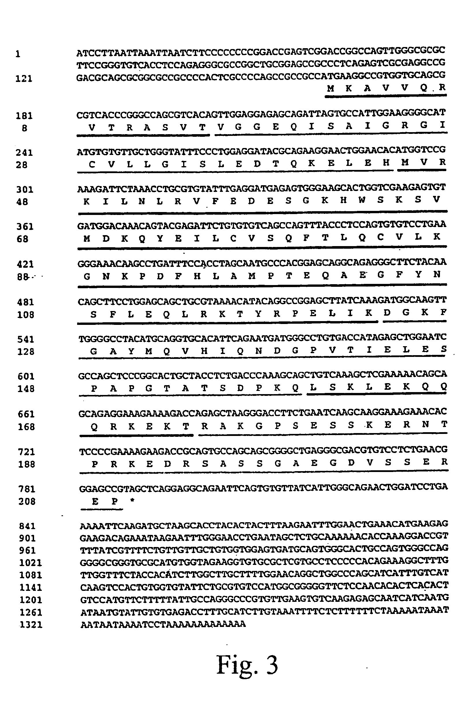 DNA binding protein