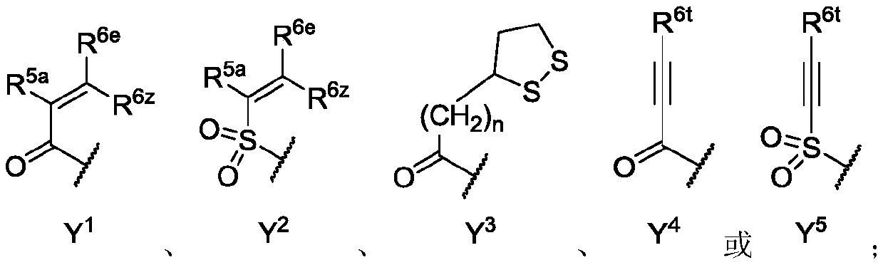 Selective inhibitors of clinically important mutants of the EGFR tyrosine kinase