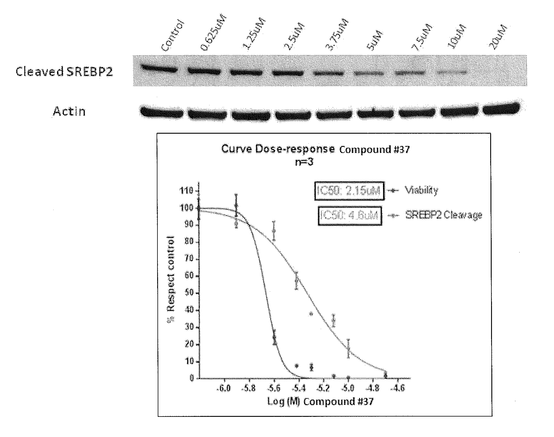 Heterocyclic compounds and methods of use