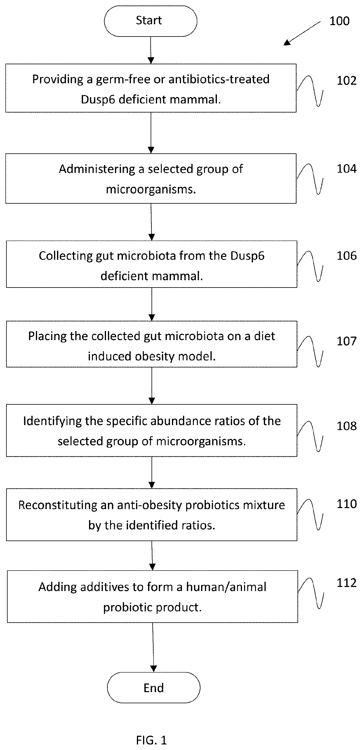 Blood glucose control and Anti-obesity probiotics compositions in a specific selection and ratio
