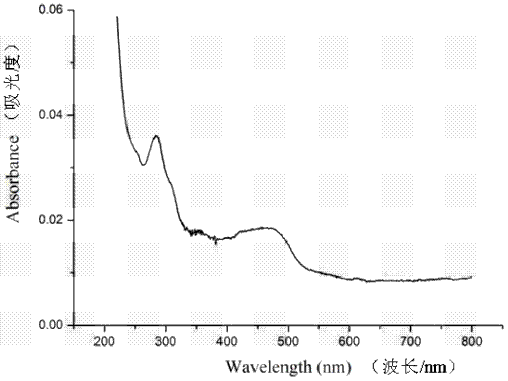 Nucleic acid detection method based on polymer electrochemiluminescence signal amplification technology