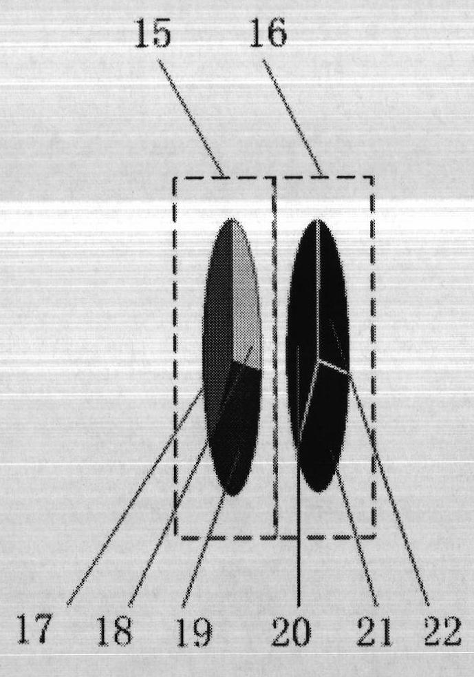 Device capable of producing contrast observation object and chromatic aberration observation object