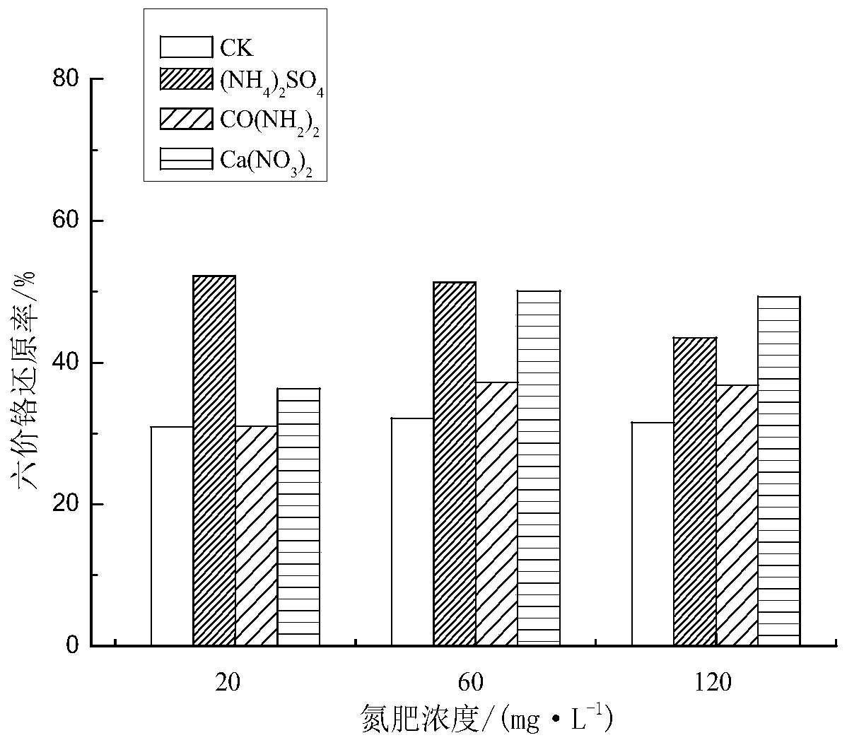 Method for purifying chromium in water by utilizing interaction between bacillus cereus and leersia hexandra Swartz