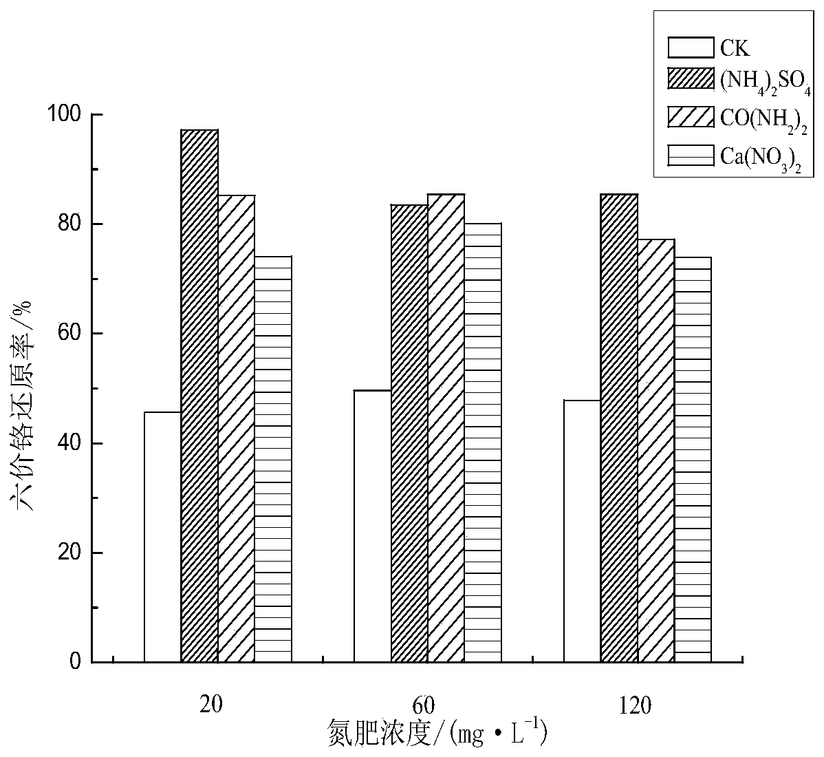 Method for purifying chromium in water by utilizing interaction between bacillus cereus and leersia hexandra Swartz