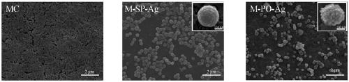 Pollen silicon loading nanosilver modified separation membrane and preparation method thereof