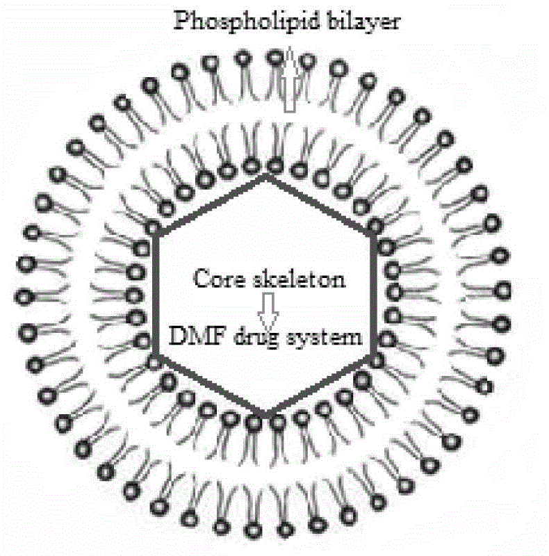 Dextran-MLDH-fluorouracil super-molecular skeleton magnetic liposome