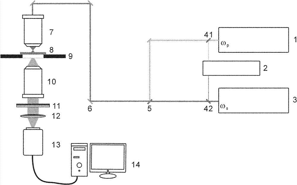 High-speed WFOV (wide field of view) CARS (coherent anti-stokes raman scattering) microscope system and method