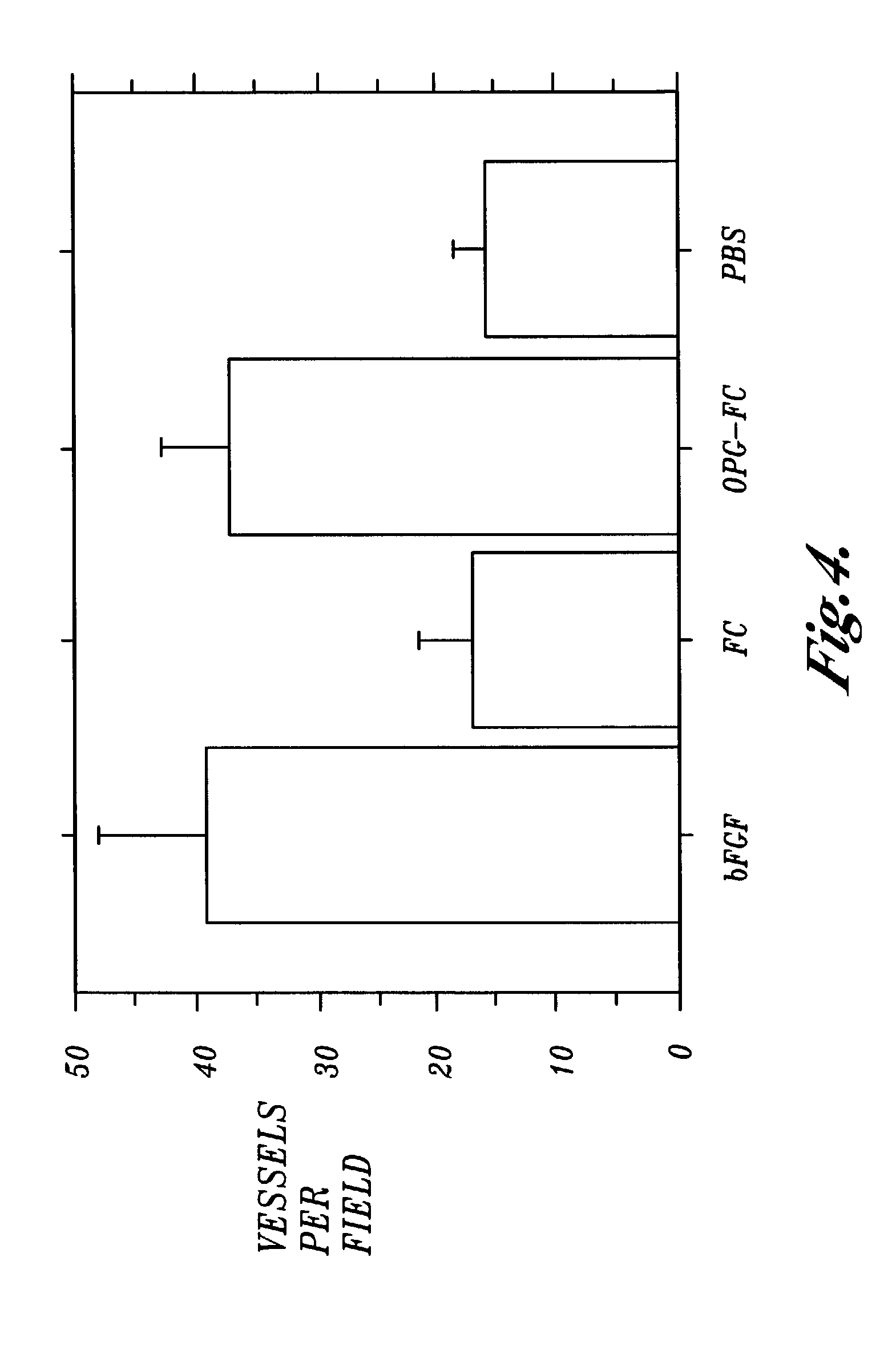 Methods and devices for promoting endothelial morphogenesis