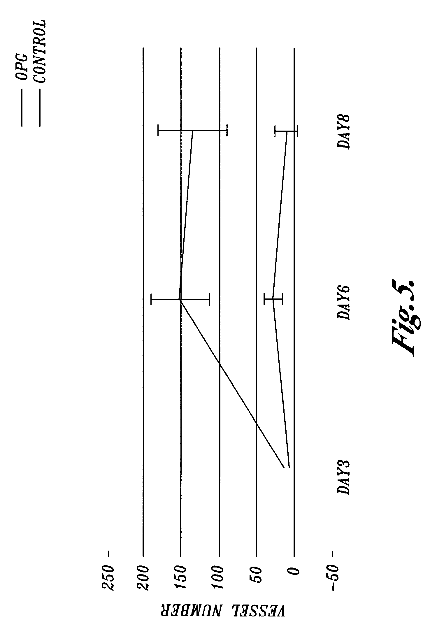 Methods and devices for promoting endothelial morphogenesis