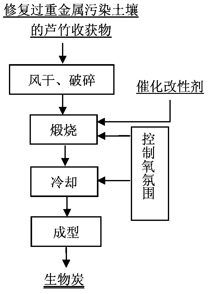 Resource utilization method of plant bamboo reed after restoring heavy metal contaminated soil