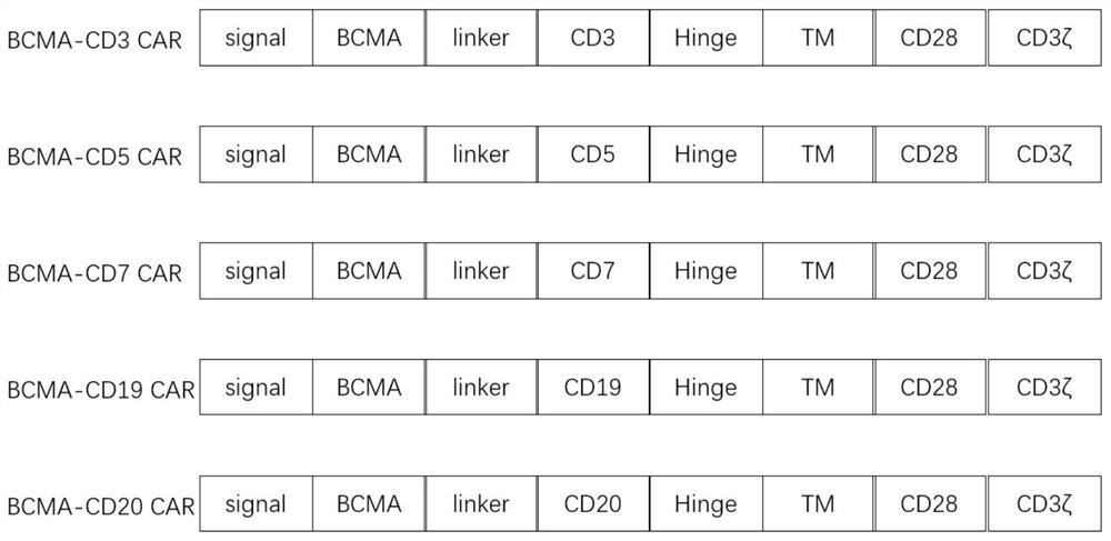 CAR-NK cell as well as preparation method and application thereof