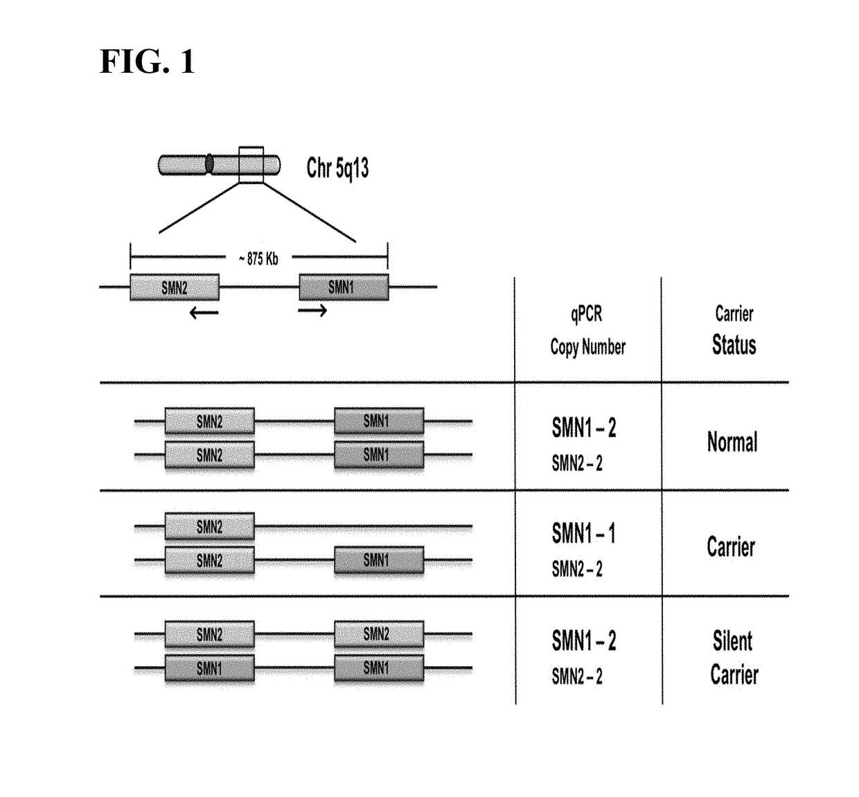 Methods to detect a silent carrier of a null allele genotype