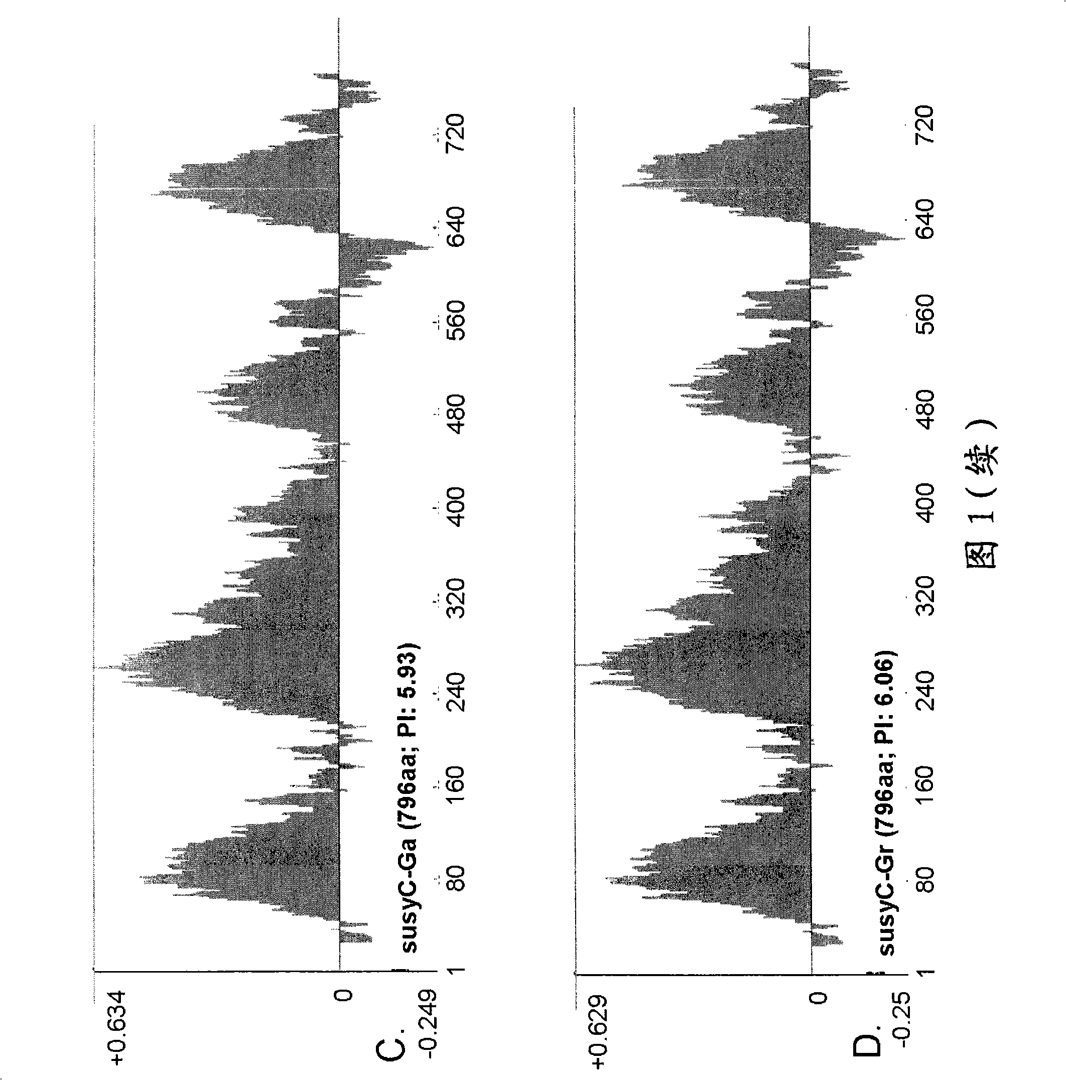 Identification of a novel type of sucrose synthase and use thereof in fiber modification