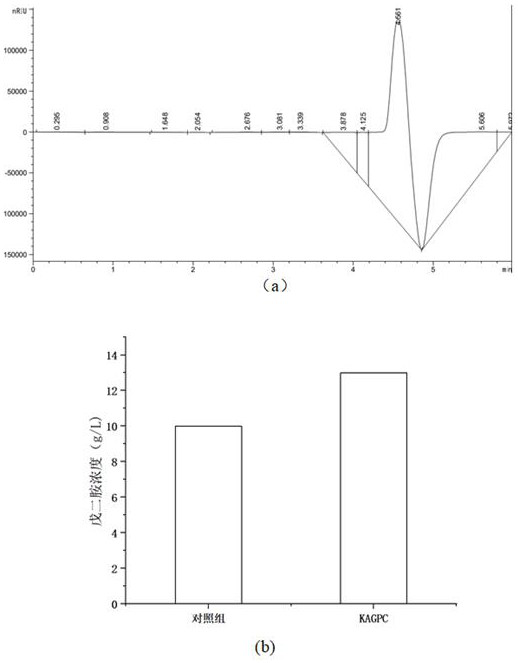 Escherichia coli pentamethylene diamine response promoter and application