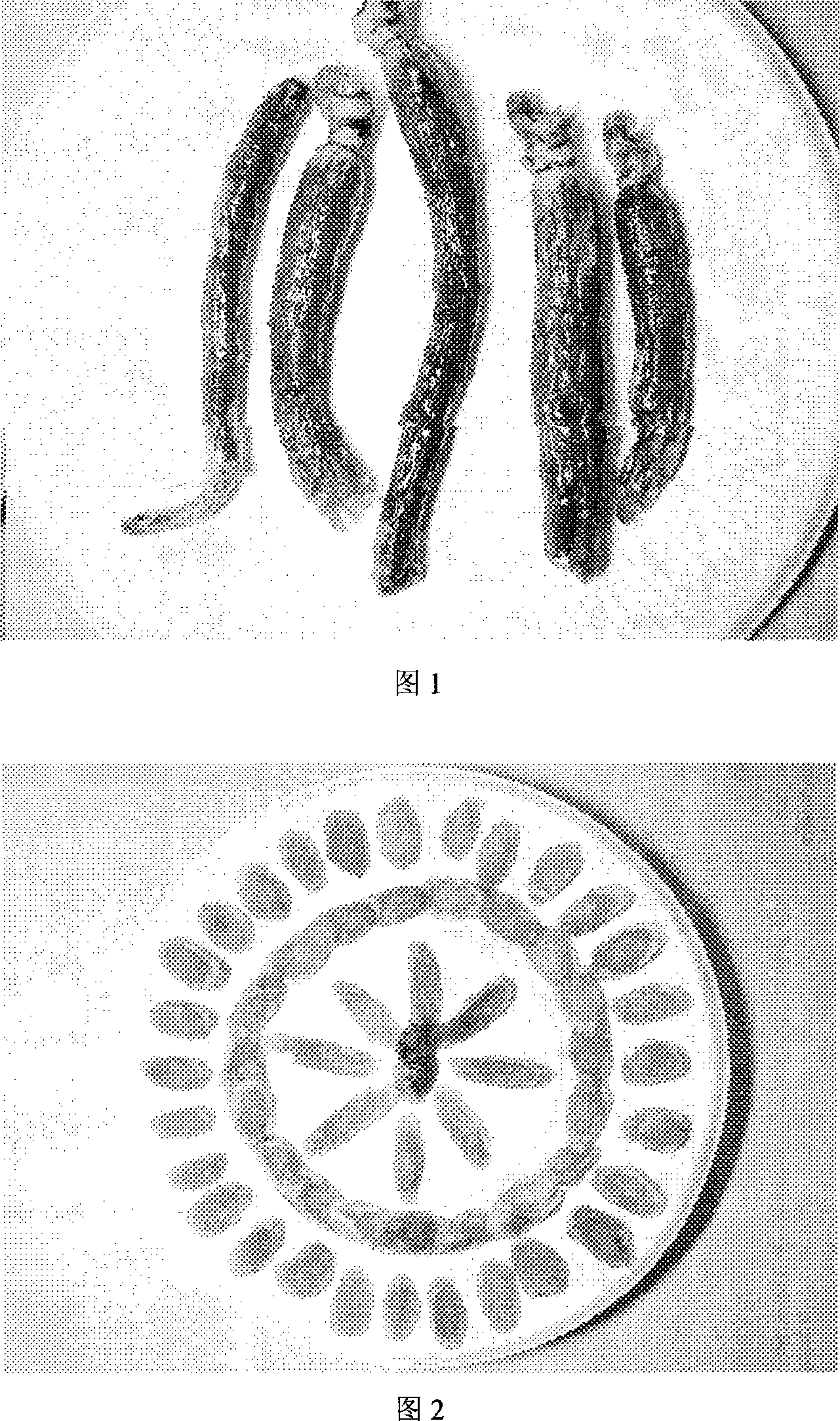 Method for processing ginseng preserved fruit