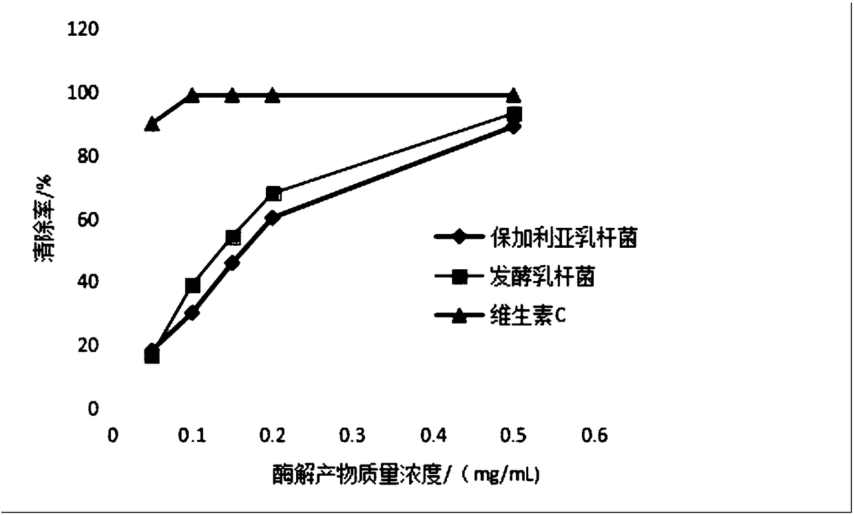 Preparation method of porphyra yezoensis antioxidant protein peptide