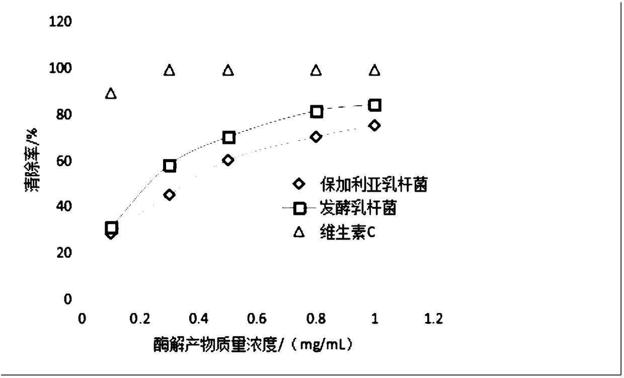 Preparation method of porphyra yezoensis antioxidant protein peptide