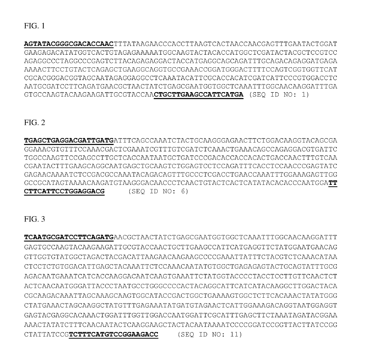 Double stranded RNA compositions for reducing asian citrus psyllid infestation and methods of use