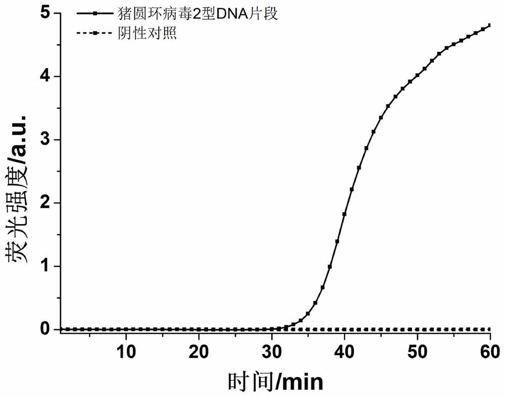 CDA primer pair and kit for detecting porcine circovirus type II and application of CDA primer pair and kit