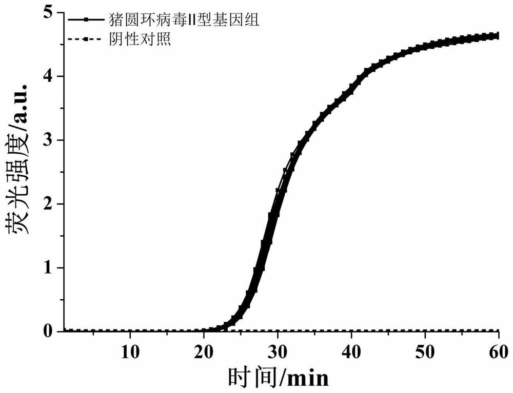 CDA primer pair and kit for detecting porcine circovirus type II and application of CDA primer pair and kit