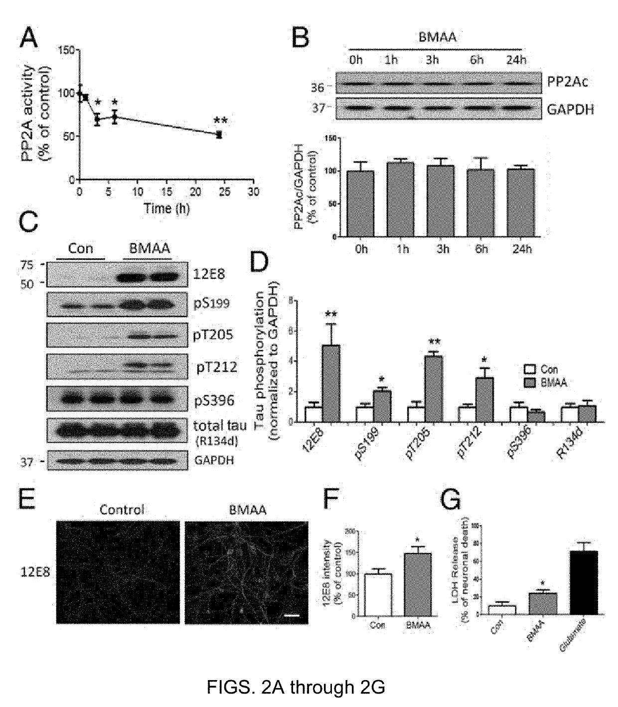 Treatment of tauopathies with mGluR5 antagonists