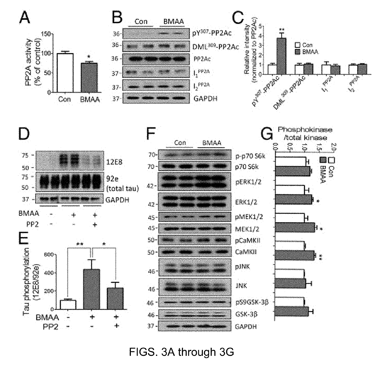 Treatment of tauopathies with mGluR5 antagonists