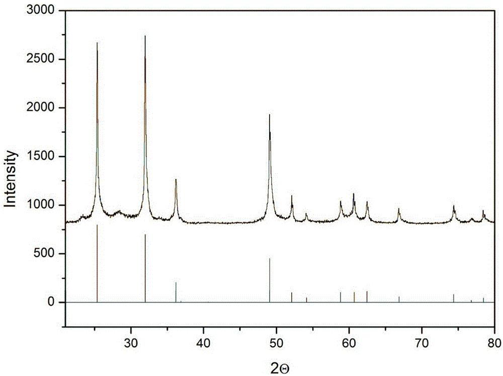 Cerium oxide-doped modified lead dioxide porous electrode and preparation method thereof