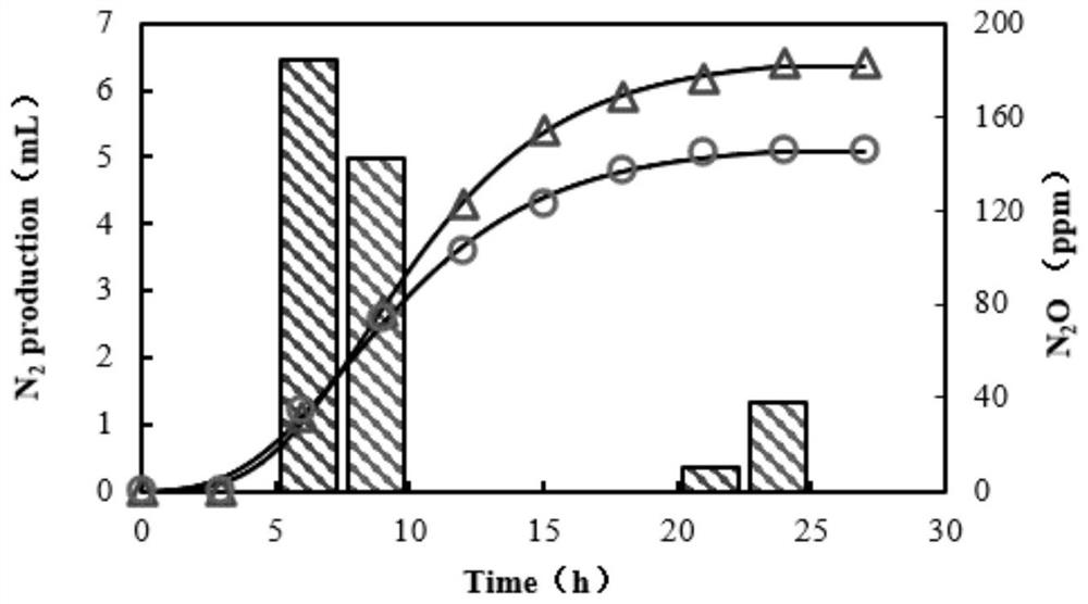 Method for improving denitrification performance of anaerobic ammonia oxidation system by adding biochar
