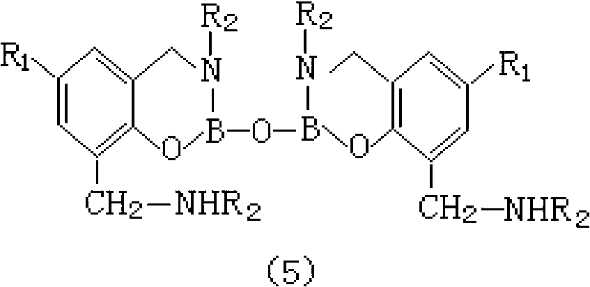 Amido boron phosphate and preparation method of amido boron phosphate