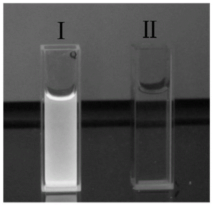 CdSe/ZnS quantum dot-modified quercetinantibacterial agent and preparation method thereof
