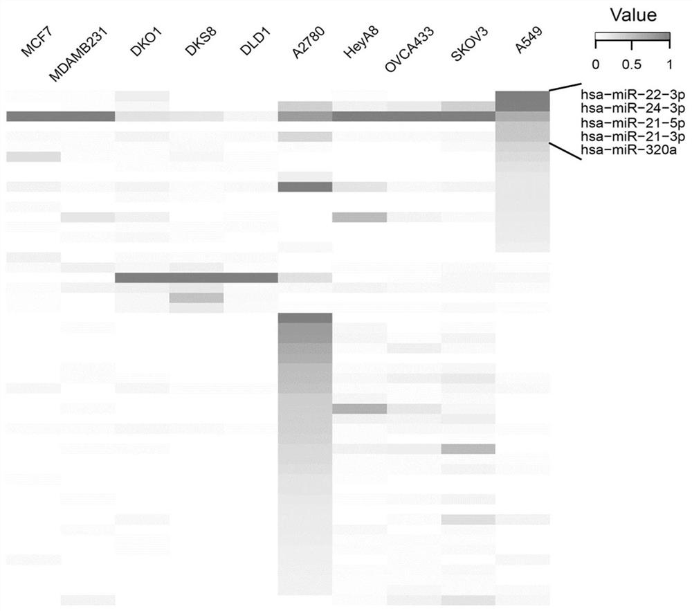 Exosome-specific miRNAs and their target genes and applications in lung adenocarcinoma
