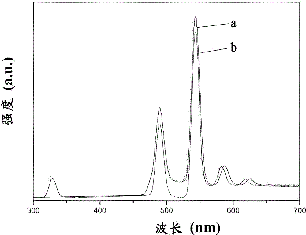 Luminous pearl nucleus and preparation method thereof as well as method for cultivating luminous pearls