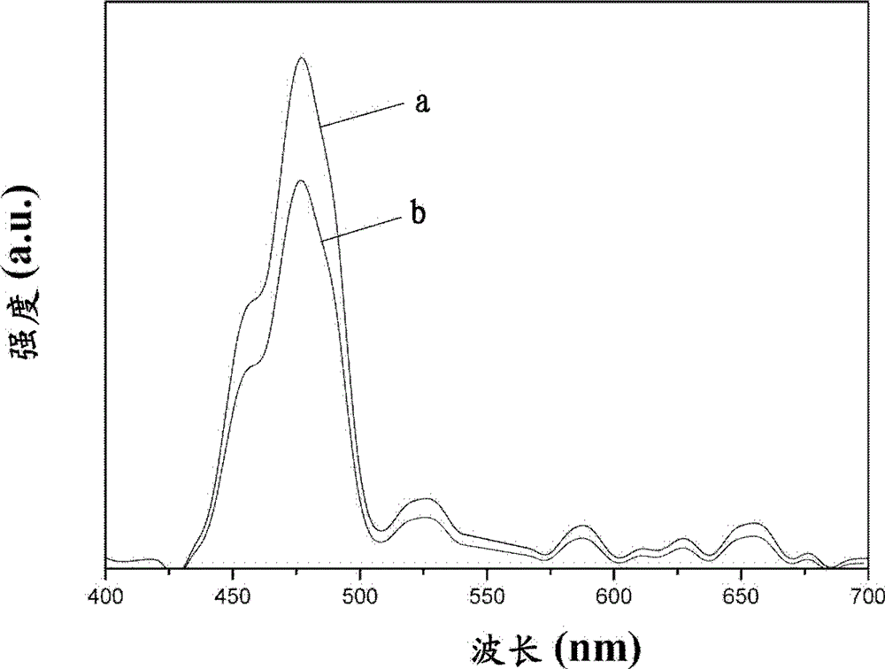 Luminous pearl nucleus and preparation method thereof as well as method for cultivating luminous pearls