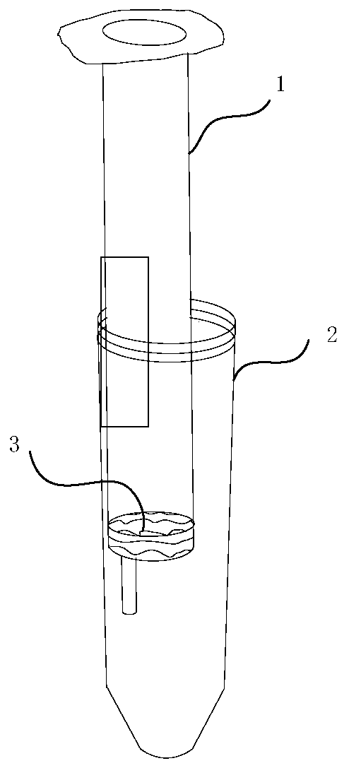 bac clone dna extraction method