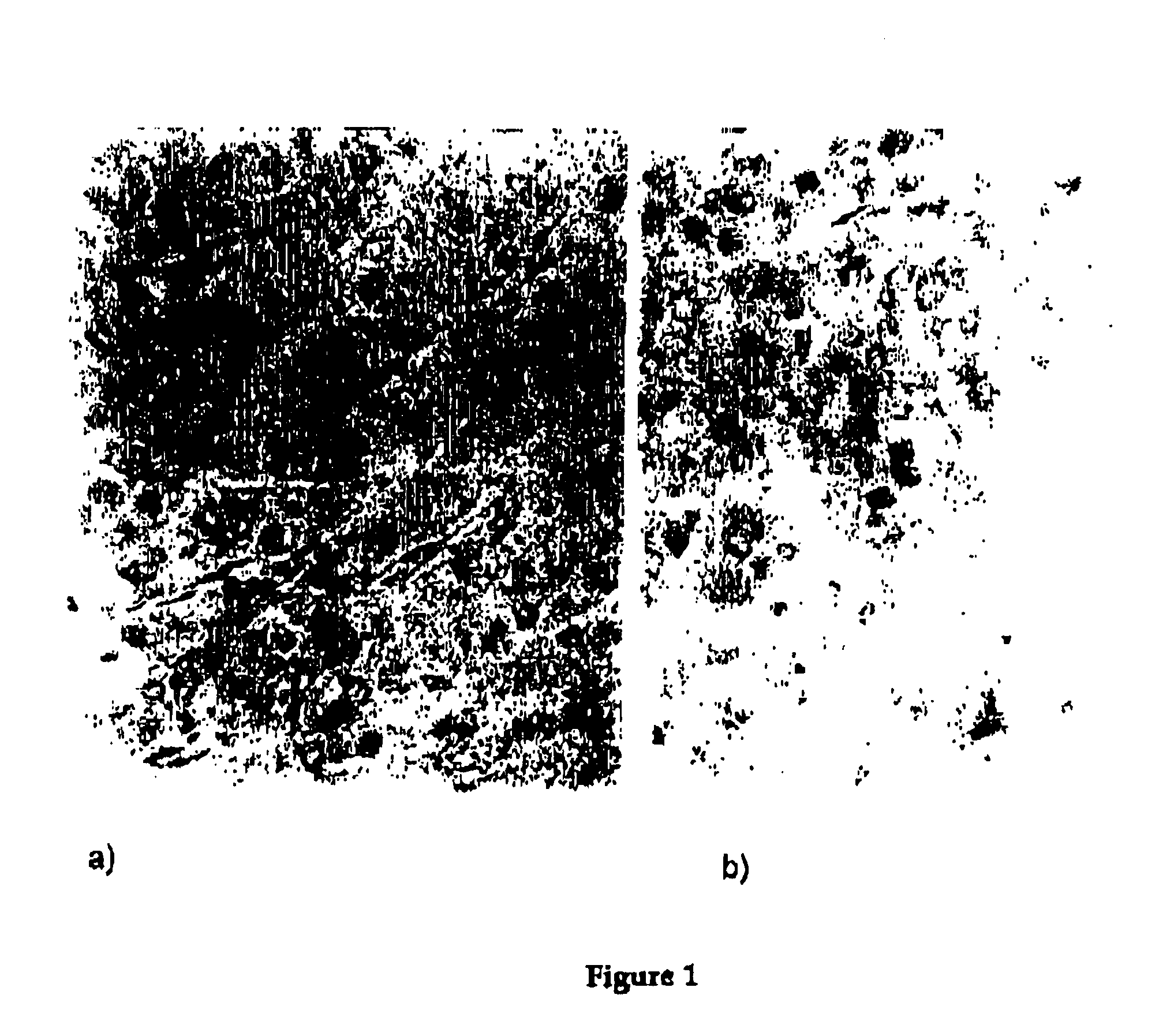 Pharmaceutical composition of complex carbohydrates and essential oils and methods of using the same
