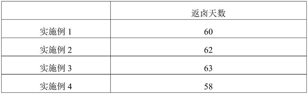 Areca nut brine and preparation method thereof