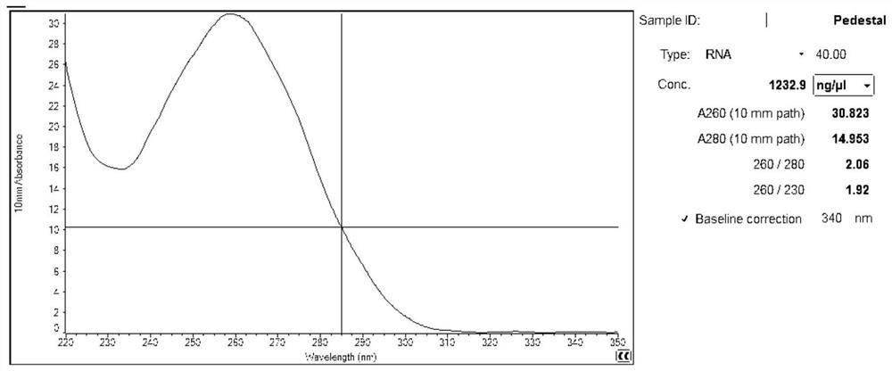 Marker linc01977 and its application