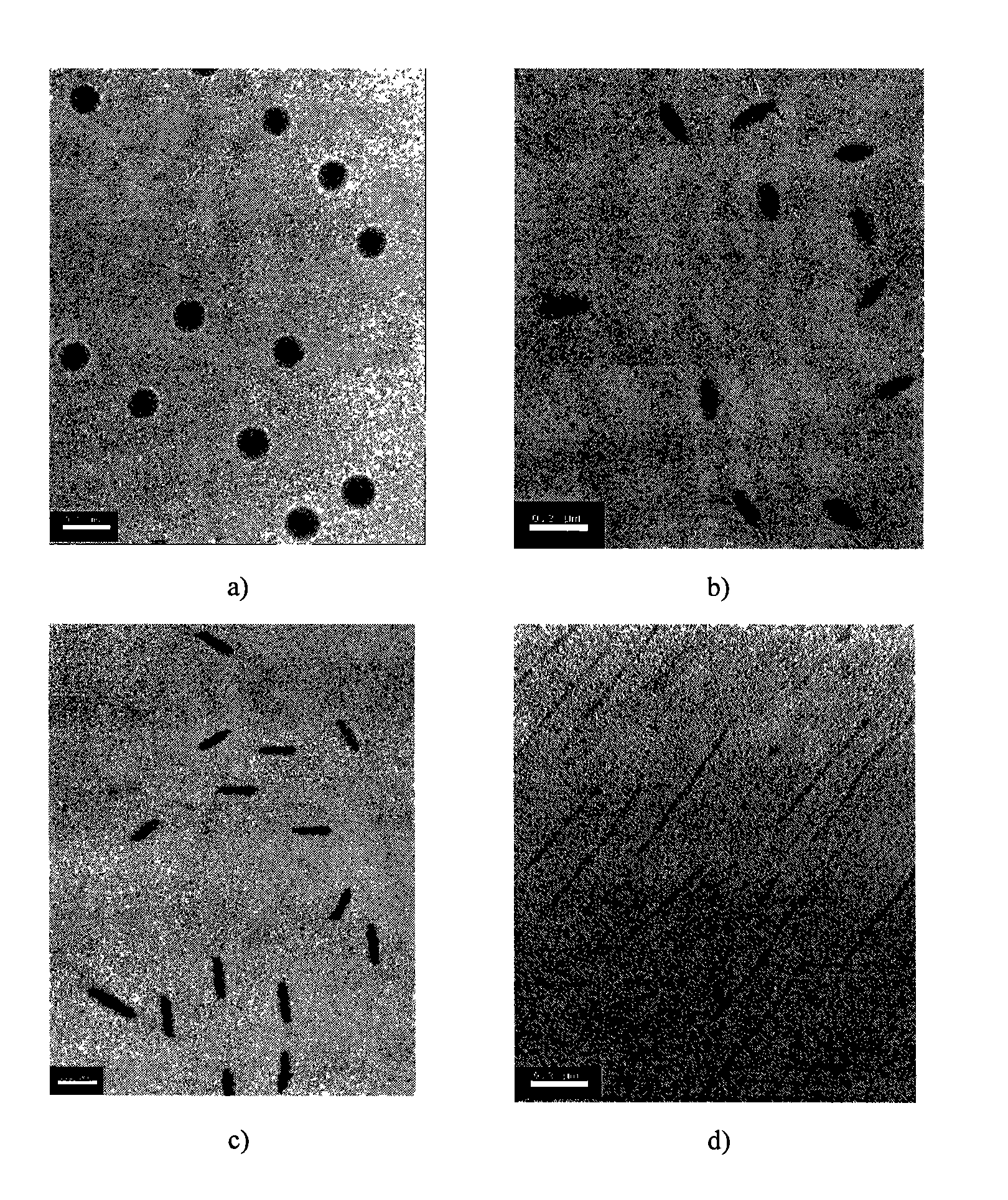 Biodegradable high molecular nanometer particles, specialty polymer thereof and preparation method thereof
