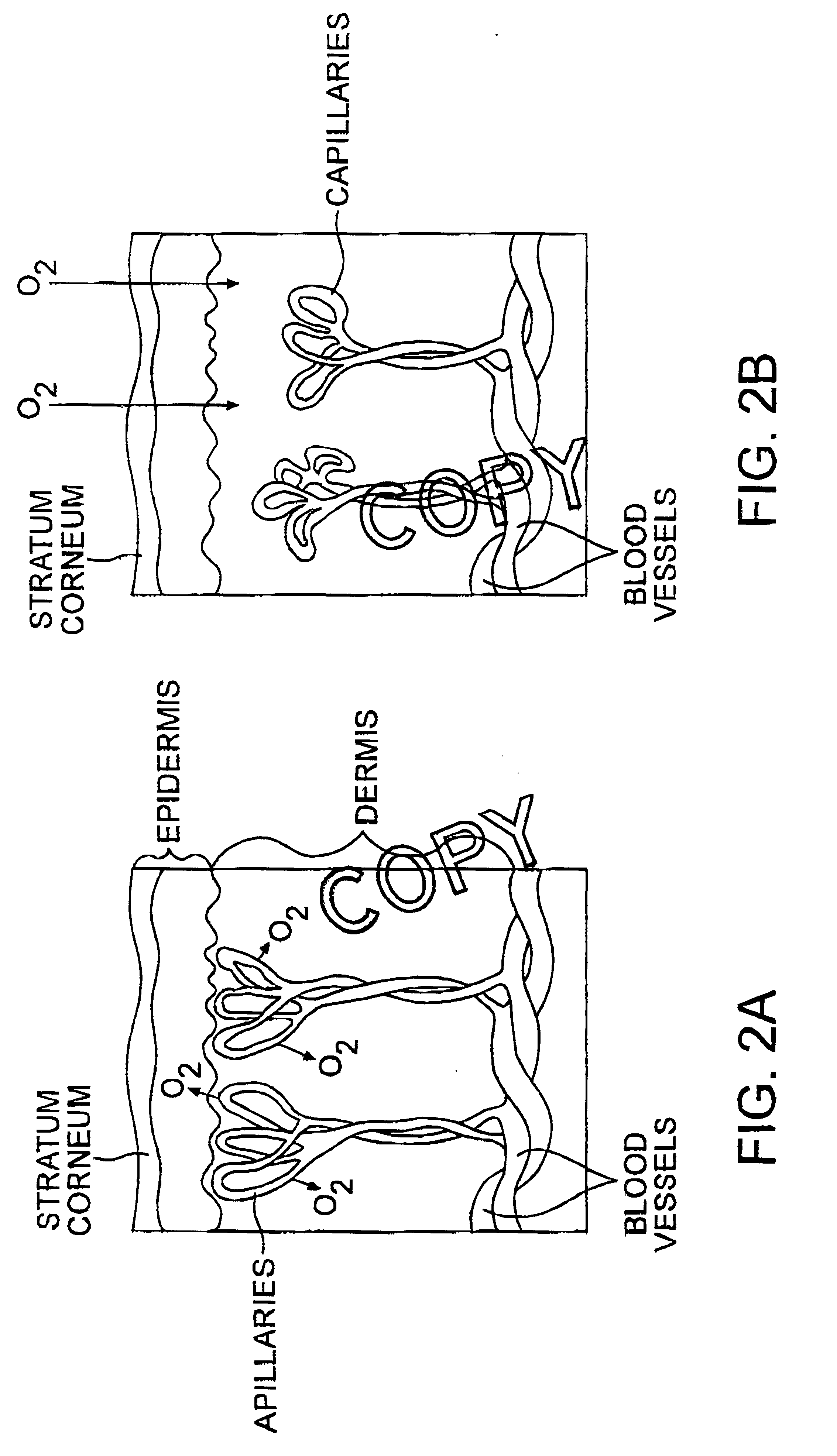 Compositions and method of tissue superoxygenation