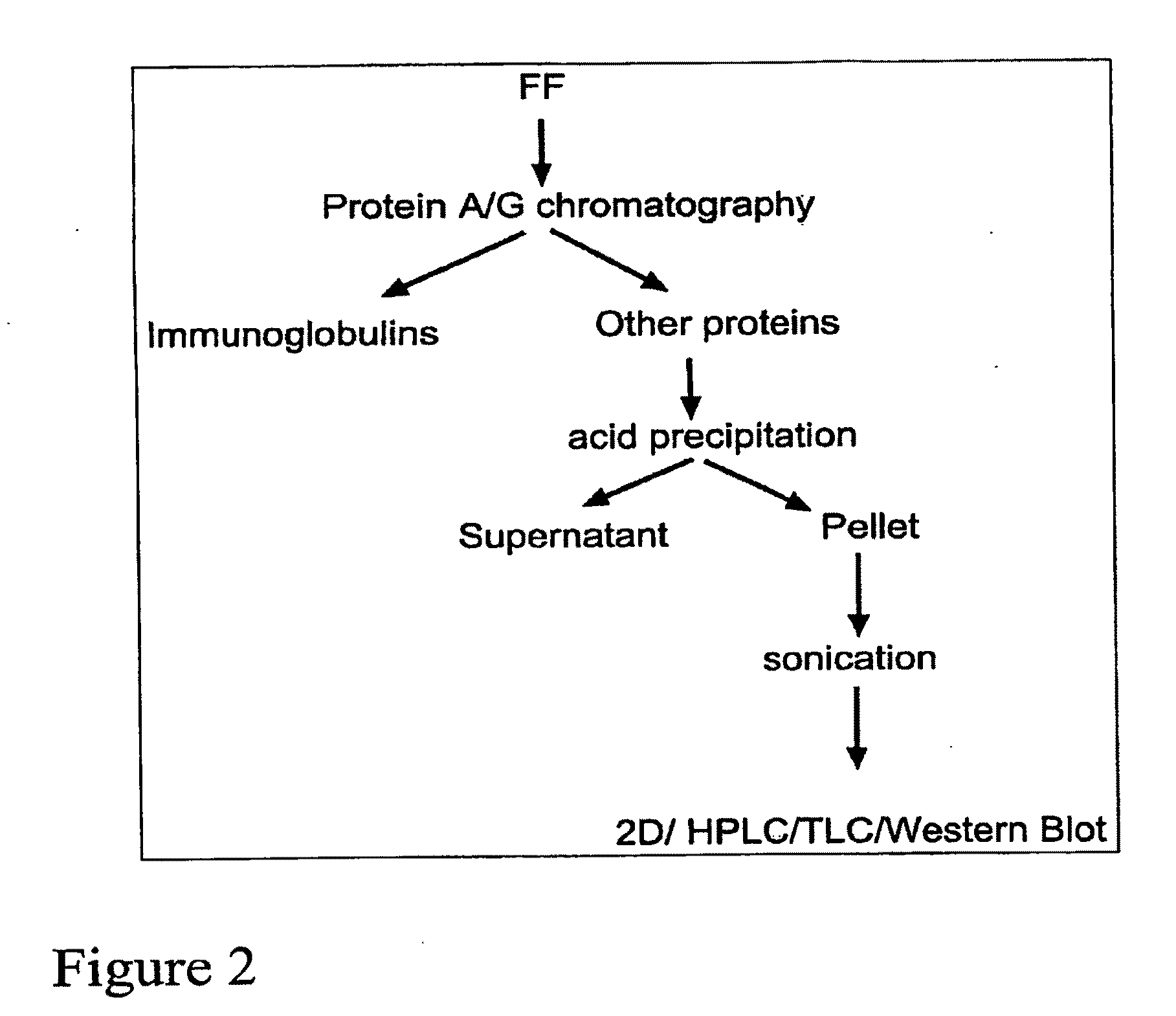 Methods for the Diagnosis and Treatment of Female Infertility Using Molecular Markers